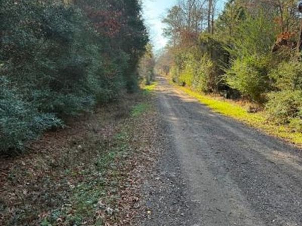 TBD-D County Road 216 , Beckville, TX 75631