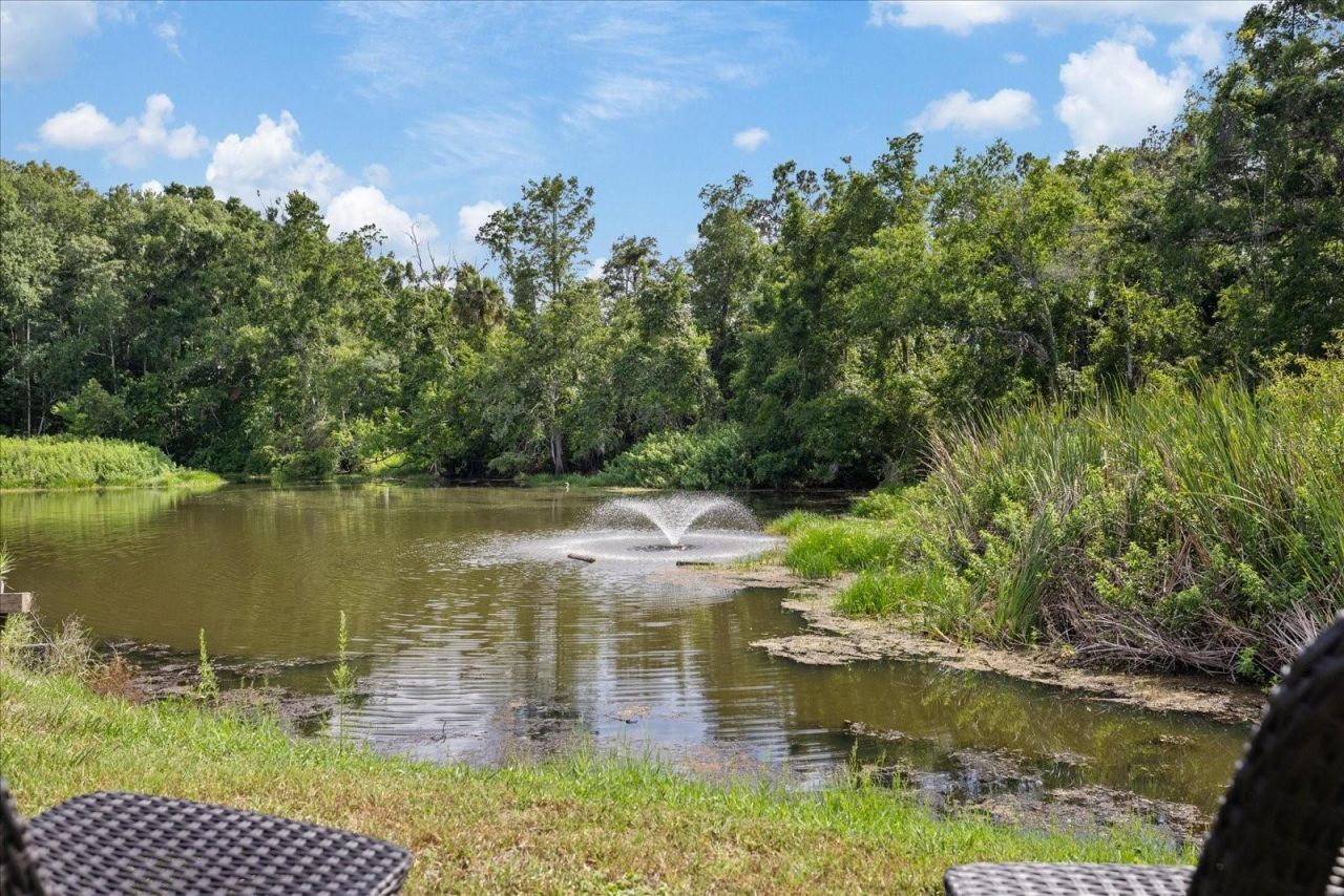 11635 Bayonet Lane , Unit B, New Port Richey, FL 34654 Photo
