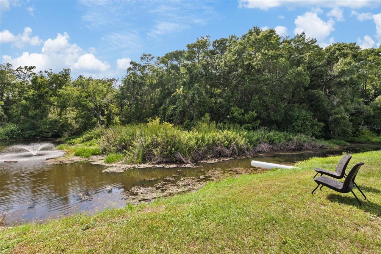 11635 Bayonet Lane , Unit B, New Port Richey, FL 34654 Photo