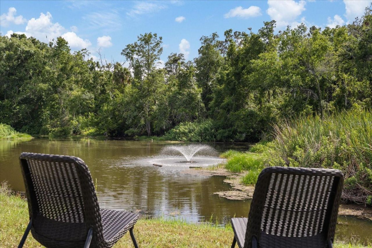 11635 Bayonet Lane , Unit B, New Port Richey, FL 34654 Photo