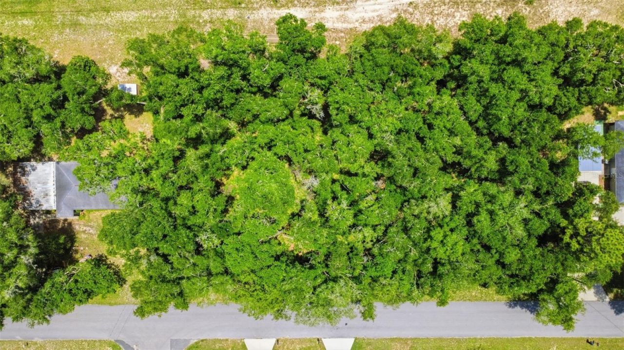 575 N Rooks Avenue , Inverness, FL 34453 Photo