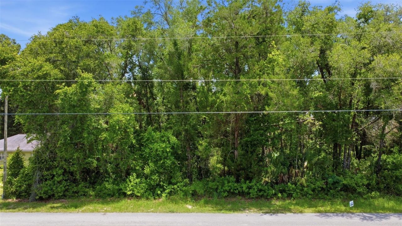 575 N Rooks Avenue , Inverness, FL 34453 Photo