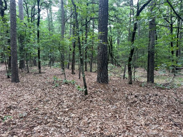 001 Johns Valley Road , Moyers, OK 74557