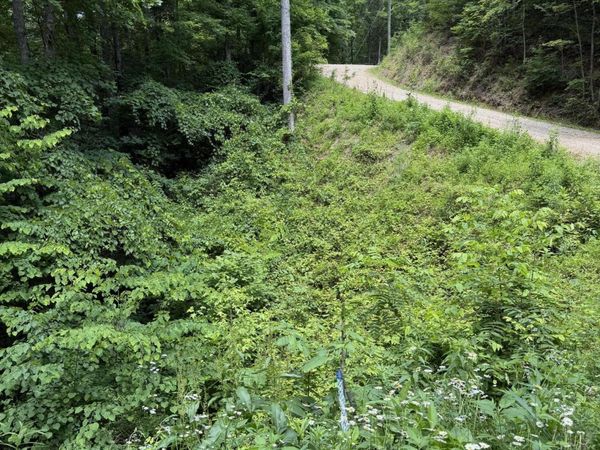 Lot 56 Butternut Lane, Sevierville, TN 37876