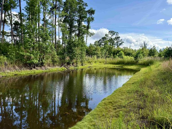 85Â± Acres - Muddy Creek Rd. , Johnsonville, SC 29555