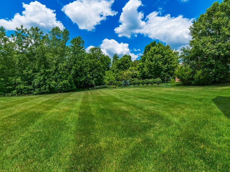 4169 Wyandotte Woods Boulevard, Dublin, OH 43016 Photo 49