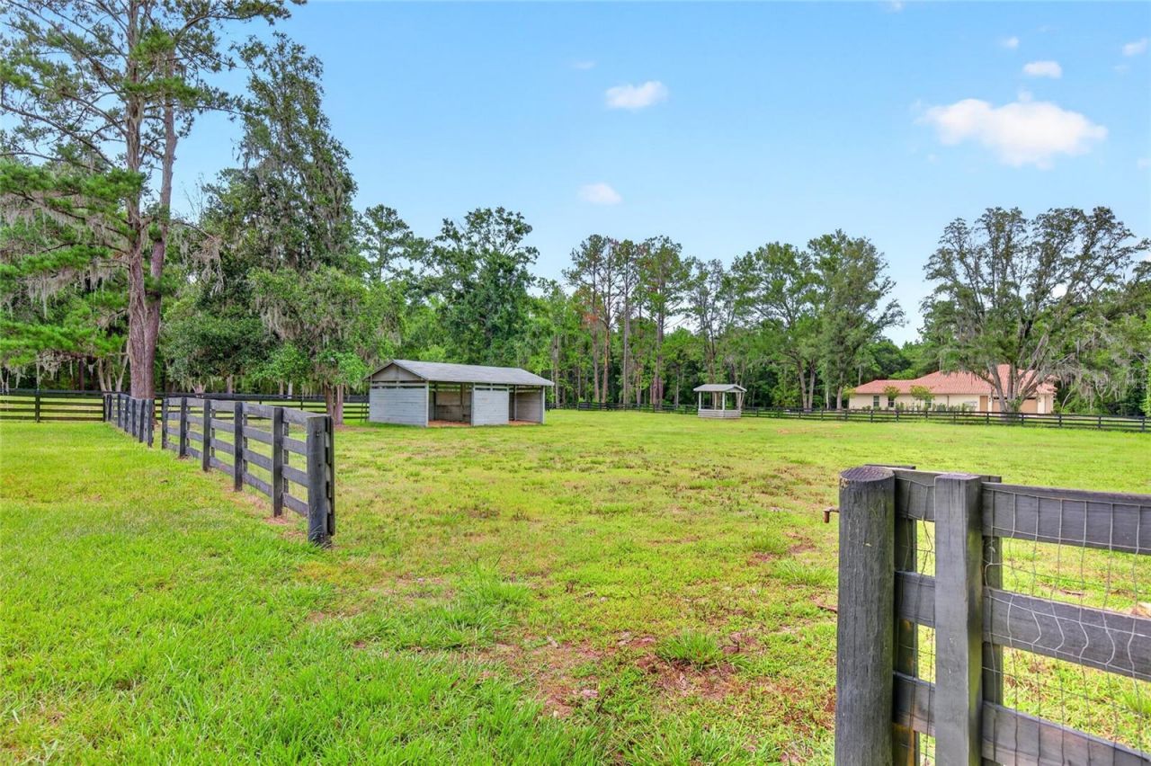 14144 NW 141st Avenue, Williston, FL 32696 Photo