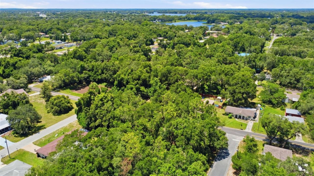 921 Tulane Terrace, Inverness, FL 34450 Photo