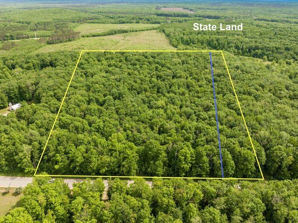 Mancelona Road, Mancelona, MI 49659