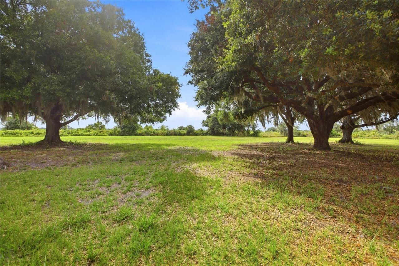 2616 Hacienda Drive, Lorida, FL 33857 Photo