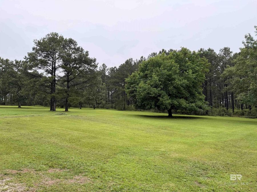 Property Image 62