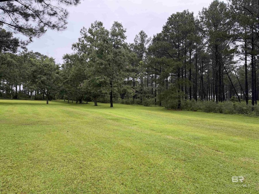Property Image 64