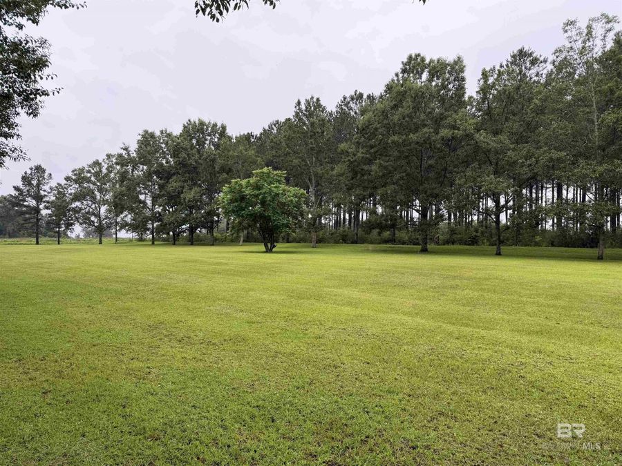Property Image 65