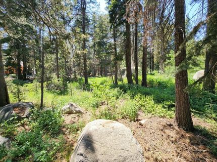 5 Monty Wolf Rd, Bear Valley, CA 95223 Photo