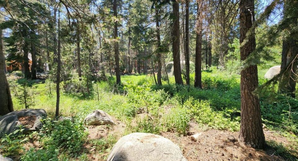5 Monty Wolf Rd, Bear Valley, CA 95223 Photo
