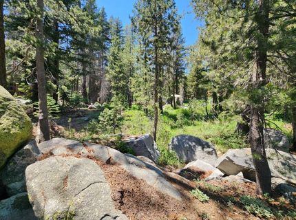 5 Monty Wolf Rd, Bear Valley, CA 95223 Photo