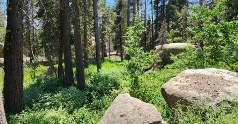 5 Monty Wolf Rd, Bear Valley, CA 95223 Photo