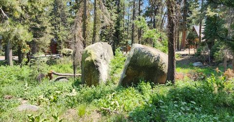 5 Monty Wolf Rd, Bear Valley, CA 95223 Photo