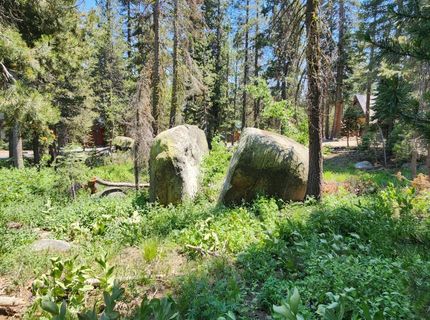 5 Monty Wolf Rd, Bear Valley, CA 95223 Photo