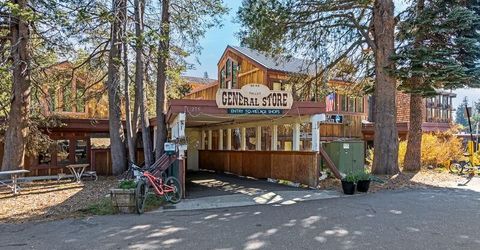 5 Monty Wolf Rd, Bear Valley, CA 95223 Photo