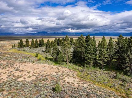 2990 Segundo Road, Beckwourth, CA 96129 Photo