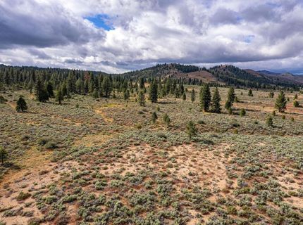 2990 Segundo Road, Beckwourth, CA 96129 Photo