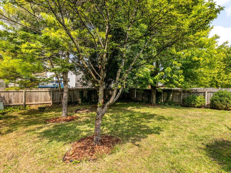2317 Salbuck Avenue, Hilliard, OH 43026 Photo 7