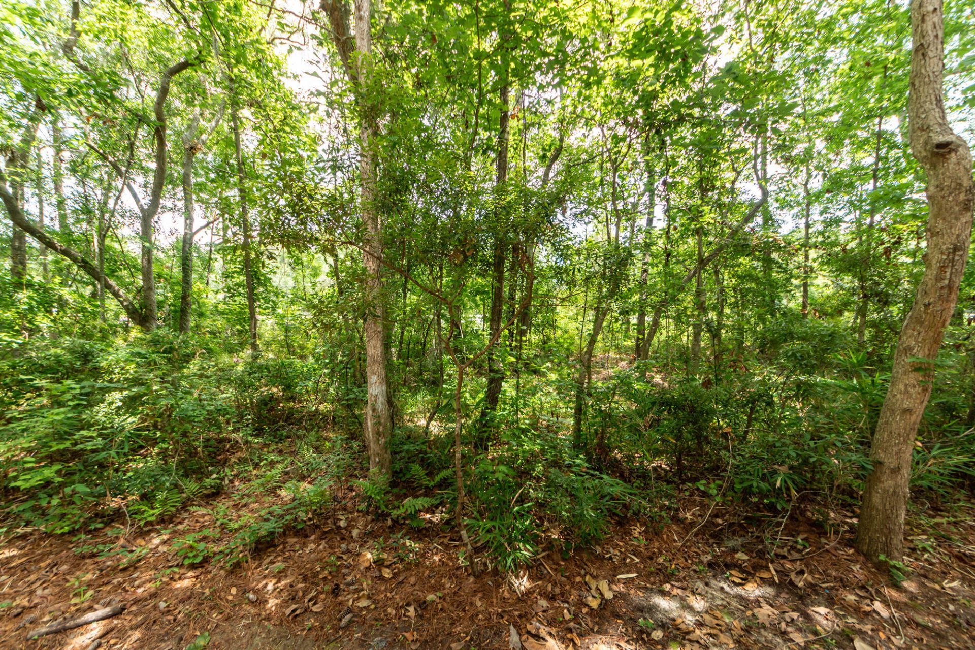 2614 Egret Crest Lane Photo 26