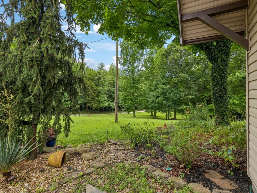 Property Image 77