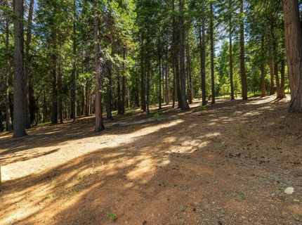 3070 Crystal Summit Rd, Pollock Pines, CA 95726 Photo