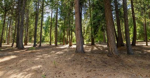 3070 Crystal Summit Rd, Pollock Pines, CA 95726 Photo