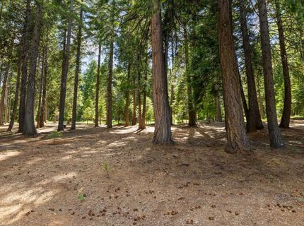 3070 Crystal Summit Rd, Pollock Pines, CA 95726 Photo