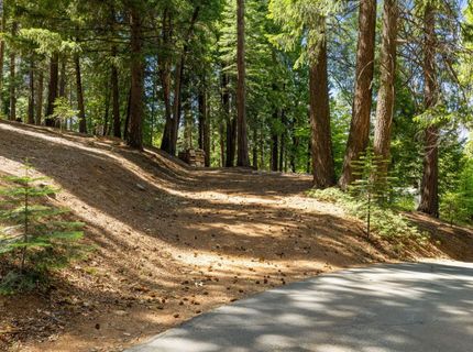 3070 Crystal Summit Rd, Pollock Pines, CA 95726 Photo
