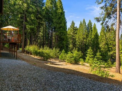3070 Crystal Summit Rd, Pollock Pines, CA 95726 Photo
