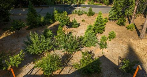 3070 Crystal Summit Rd, Pollock Pines, CA 95726 Photo