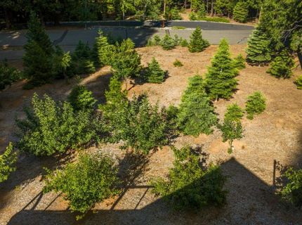 3070 Crystal Summit Rd, Pollock Pines, CA 95726 Photo