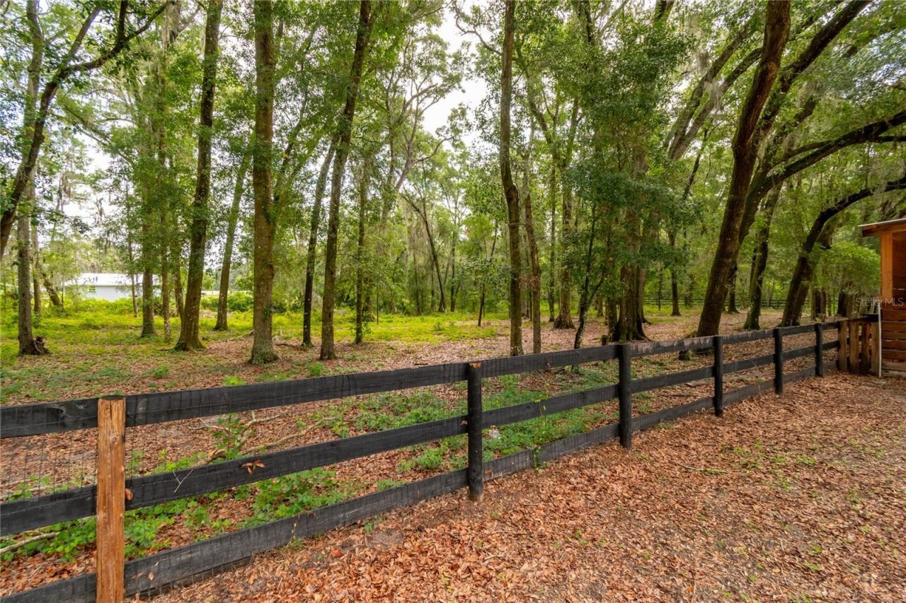 2735 NE 127th Place, Anthony, FL 32617 Photo