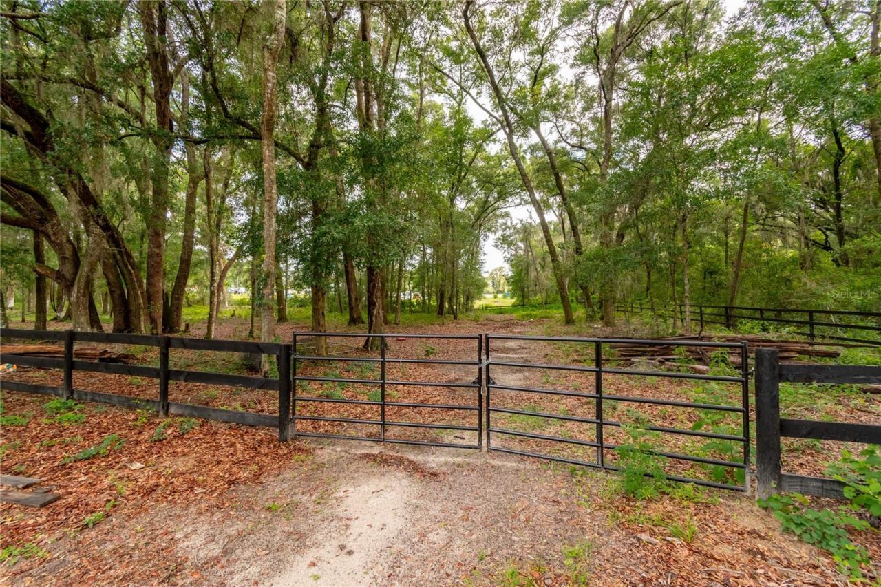 2735 NE 127th Place, Anthony, FL 32617 Photo