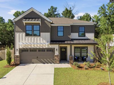 133 Collins Cove Drive , Chapin 29136