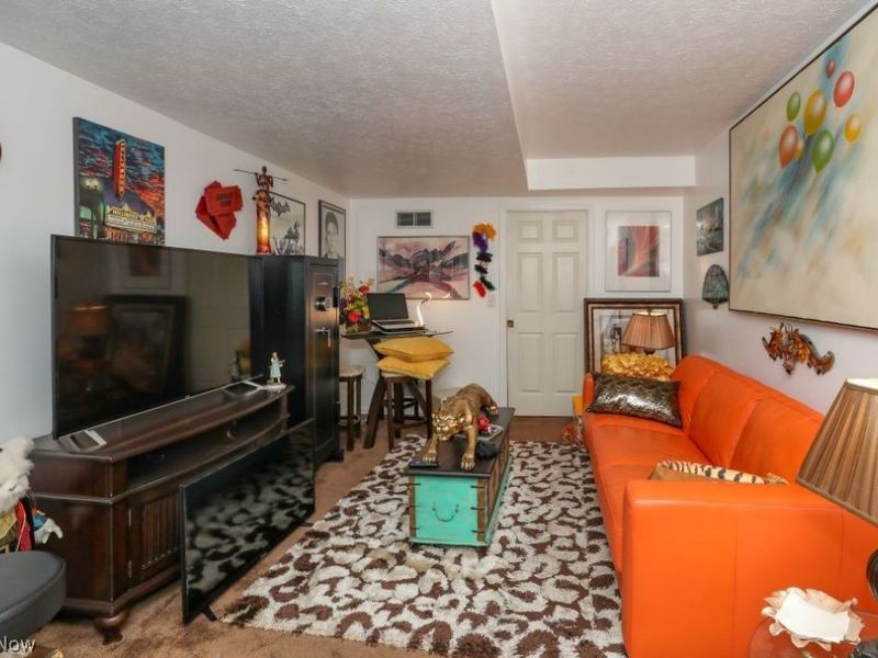 908 Bristol Lane, Streetsboro, OH 44241 Photo 13