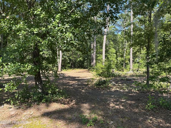 3 Big Eagle Road , Atkinson, NC 28421