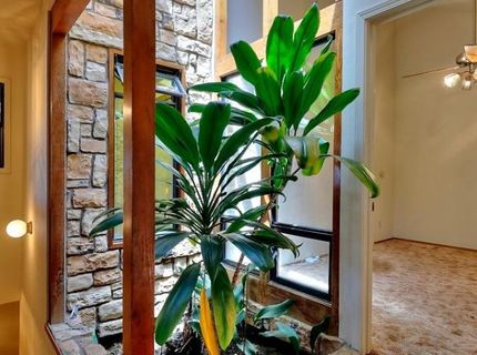 12825 Mierkey Rd, Pine Grove, CA 95665 Photo