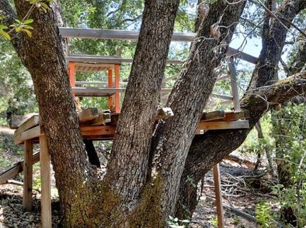 12825 Mierkey Rd, Pine Grove, CA 95665 Photo