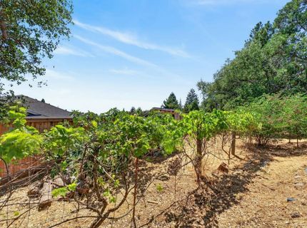 3572 Buena Vista Dr, Shingle Springs, CA 95682 Photo