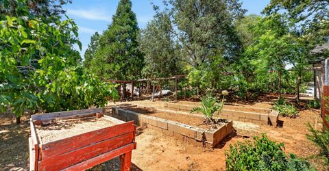 3572 Buena Vista Dr, Shingle Springs, CA 95682 Photo