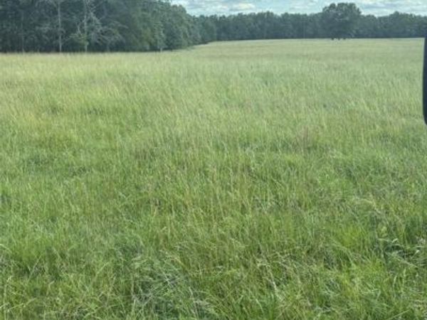 6337 Highway Dd , Unincorporated, MO 63640