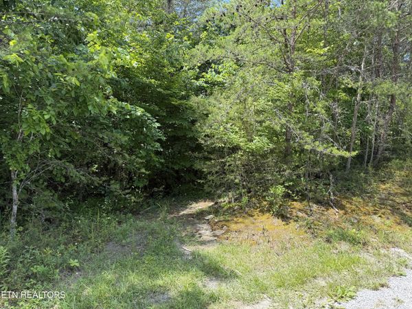 0 Mountain Shores Rd, Tazewell, TN 37879