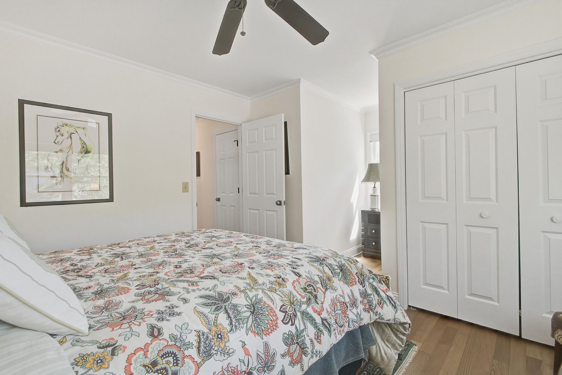 667 Serotina Court Photo 42