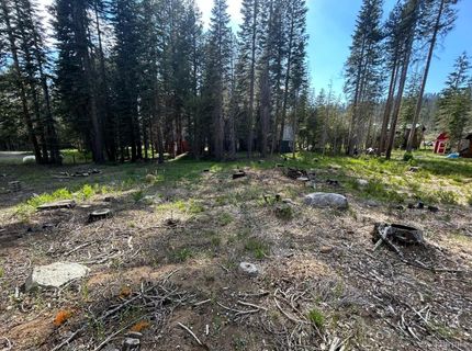 7248 Sierra Pines Road, Twin Bridges, CA 95735 Photo
