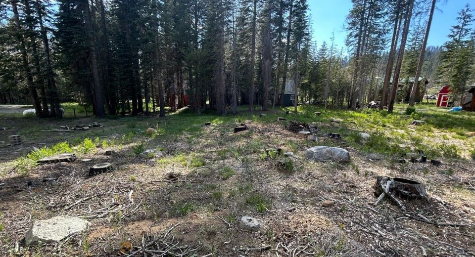 7248 Sierra Pines Road, Twin Bridges, CA 95735 Photo